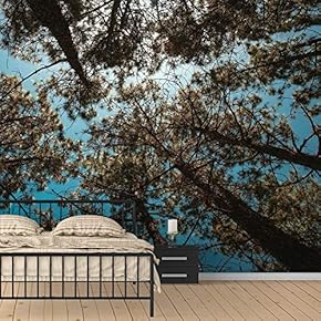 Wall Murals for Bedroom Dreamwork Beautiful Removable Wallpaper Peel and Stick Wall Stickers - 66x96 inches