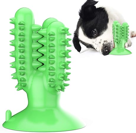 amazon dog teeth cleaning
