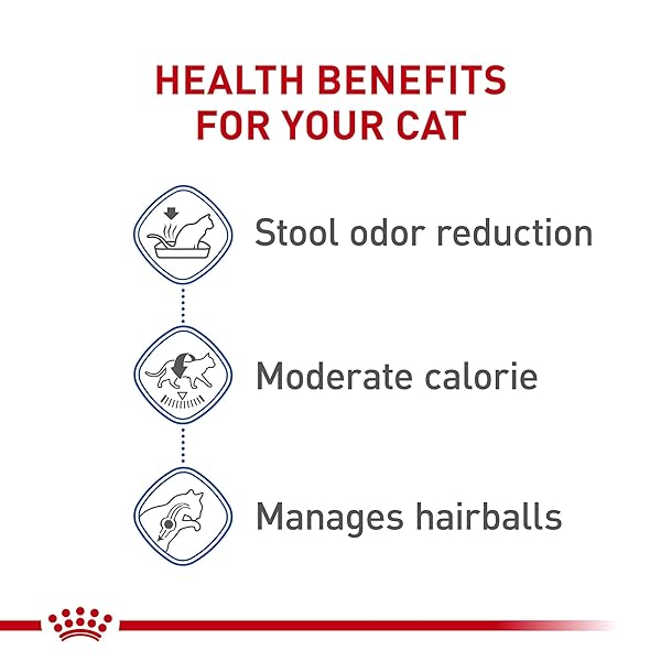 ROYAL CANIN FELINE HEALTH NUTRITION INDOOR ADULT DRY CAT FOOD, 7 LB BAG