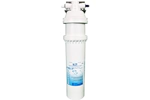 ENVIRONMENTAL WATER SYSTEMS EWS SS-2.5 2.5GPM Water Purification Unit, United States
