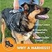 Friends Forever No Pull Dog Harness Large Breed - Training Harnesses for Large Dogs, Black Dog Vest with Handle & 3M Reflective Material for Extra Control and Safety L Size