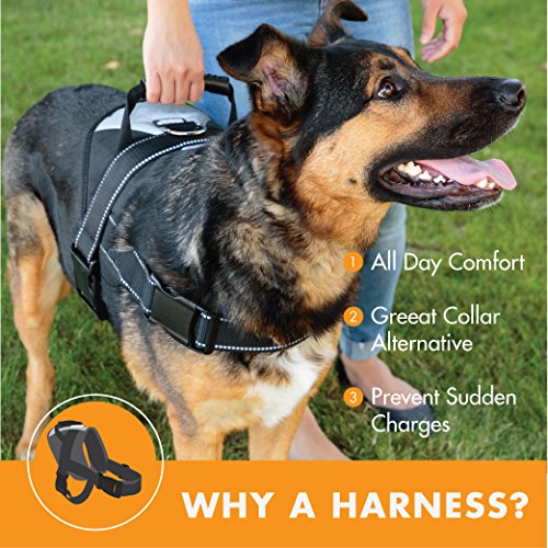 xtra dog harness
