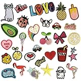 Iron On Patches Embroidered Appliques DIY Decoration or Repair,Sew On Patches for Clothing Backpacks Jeans Caps Shoes etc (Cute Styles)