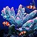 Danmu 1pc Polyresin Coral Ornaments, Aquarium Coral Decor for Fish Tank Aquarium Decoration (Blue)thumb 2