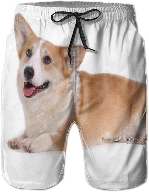 corgis in shorts