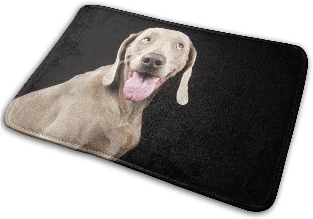 Large beach pants Weimaraner Dog Animals Wildlife Doormat Entrance Mat Floor Mat Rug Indoor/Front Door/Bathroom/Kitchen and Living Room/Bedroom Mats 23.6 X 15.8 Inch