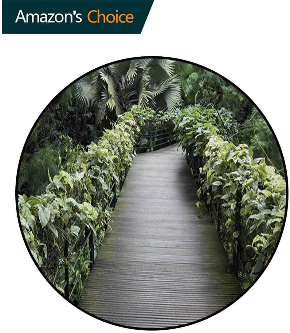 Best Vacuum And Mop In One Singapore