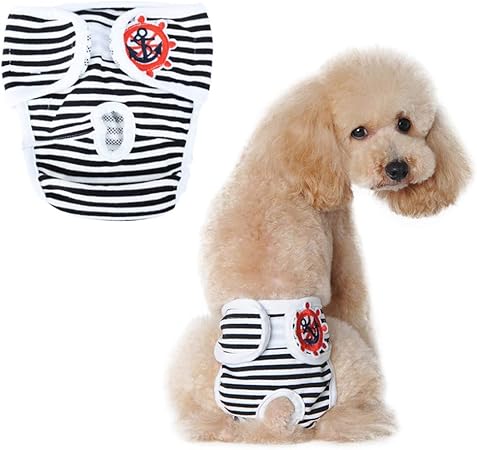 dog menstruation pants