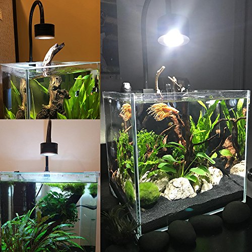 LED Aquarium Lighting Nano Fish Tank Light for Saltwater Freshwater Planted Tank Coral Reef (Freshwater Asta 20)