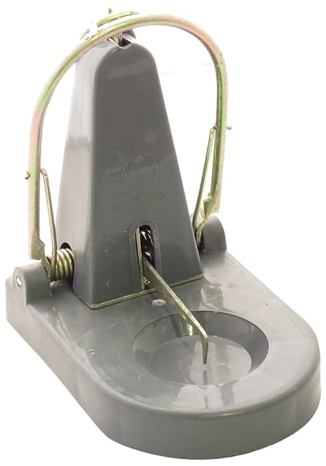Black Cat Rat Trap:Mouse Catch (Grey,1 Rat Trap)