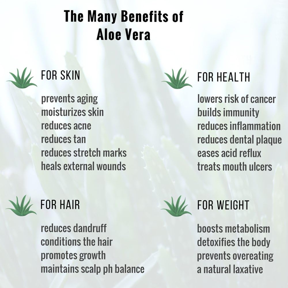 BIO Fresh Aloe Vera Liquid Concentrate directly from the Organically Grown Plant. 100% Natural & Purp. Cold Pressed. Cosmetic Preparation - Image 5