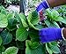 WILDFLOWER Tools Gardening Gloves for Women and Men - Nitrile Coating for Protection (Medium, Purple Pair/Green Pair with White Cuff Hem)