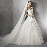 AEVEILS 3.0M Largo Velos de Novia 2 Tiers Capilla Velo Nupcial con Peine Suave Tul Cortar Borde Velos para Novia Boda Accesorios