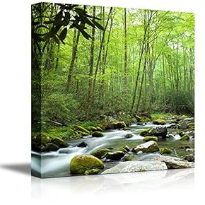 Canvas Prints Wall Art - Beautiful Scenery/Landscape Stream Going Through The Jungle | Modern Wall Decor/Home Decoration Stretched Gallery Canvas Wrap Giclee Print & Ready to Hang - 12" x 12"