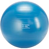 Gymnic Classic Plus Burst-Resistant Exercise Ball, Blue (65 cm)