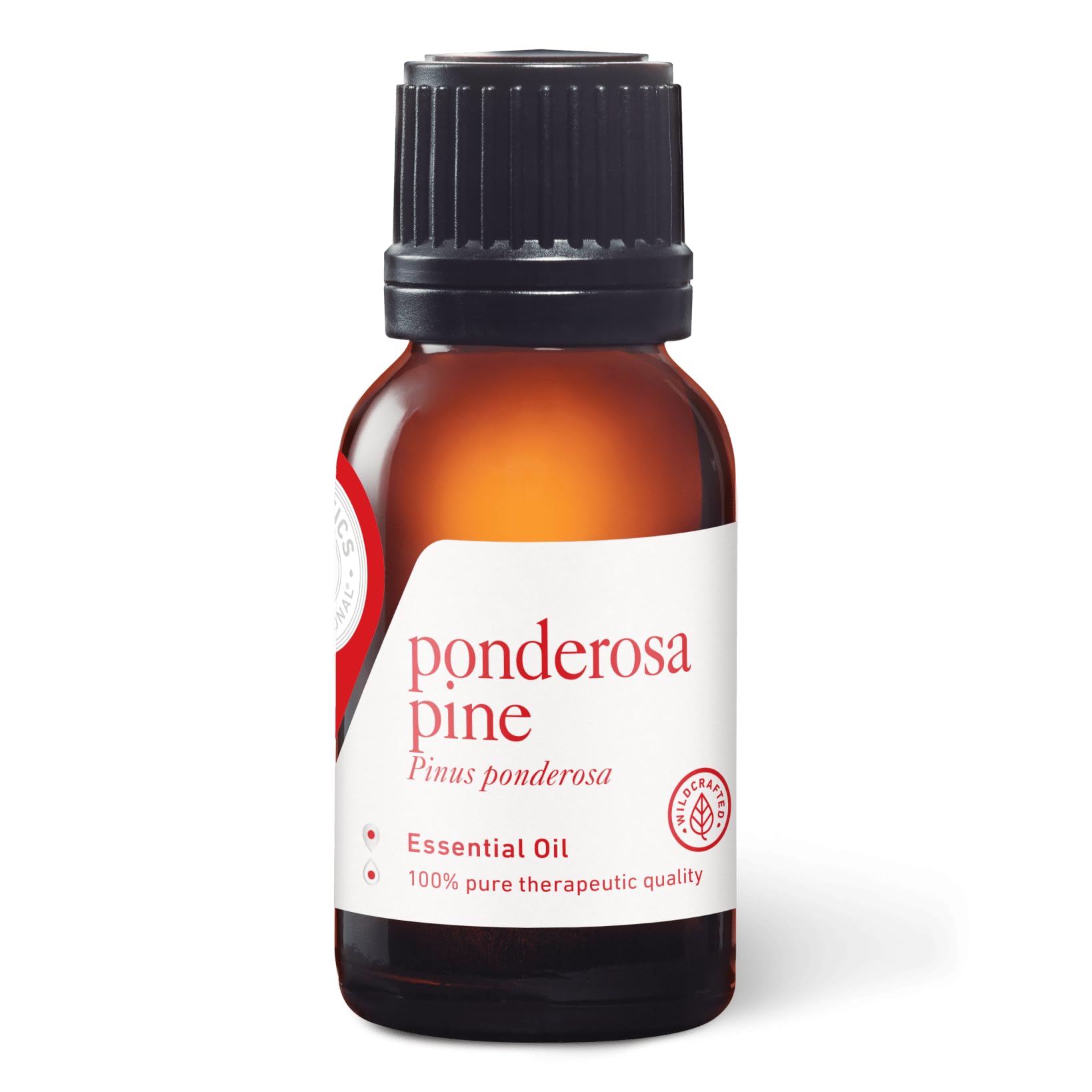Aromatics International Ponderosa Pine Essential