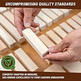 BeaverCraft Basswood Carving Blocks BW19 Unfinished Wood Blocks Set view 6