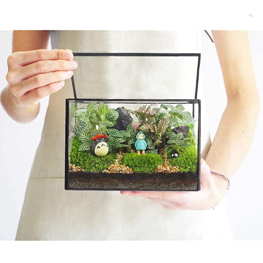 Rectangle Small Plants Terrarium with Lid, Black Geometric Clear Planter Pot, Little Glass Container Box for Tabletop Decor,6.7 x 3.9 x 4.7 inches