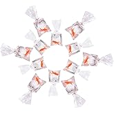 SUNNYCLUE 12Pcs Resin Goldfish Shape Fish Water Bag Charms Orange Resin Fish Charms Pendants for Earrings Bracelet Jewelry Making DIY Craft Finding Supplies