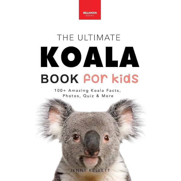 Koala: A Natural History and an Uncertain Future: Clode, Danielle