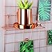 Simmer Stone Rose Gold Wall Grid Panel for Photo Hanging Display & Wall Decoration Organizer, Multi-functional Wall Storage Display Grid, 5 Clips & 4 Nails Offered, Set of 1, Size 23.6