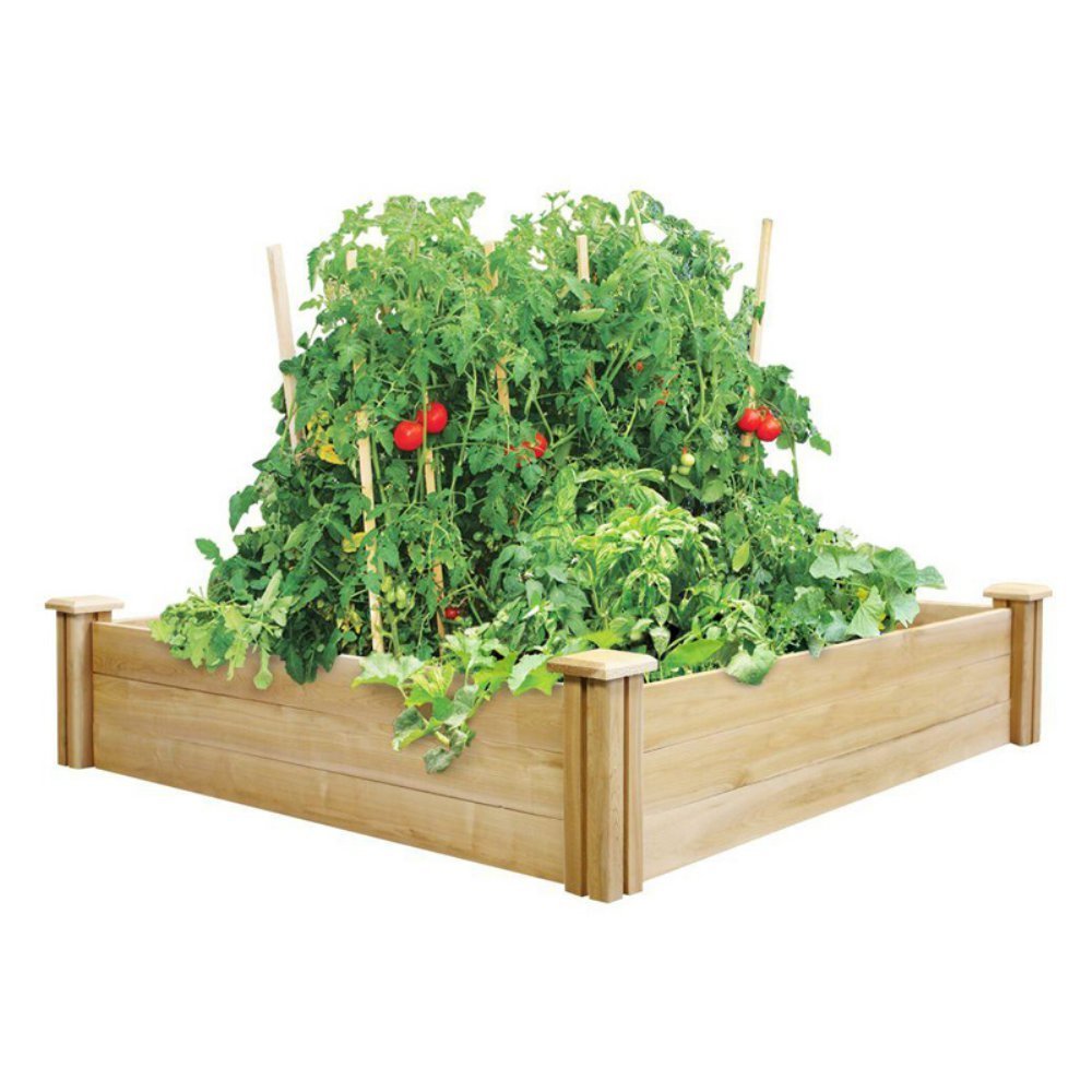 Best Garden Bed Kit 3X6