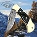 Buffalo Horn 5.5'' Custom Handmade Damascus Steel Double Brass Bloster with Sharpening Rod Folding Pocket Knife Back Lock 100% Prime Quality Come with Leather Sheath