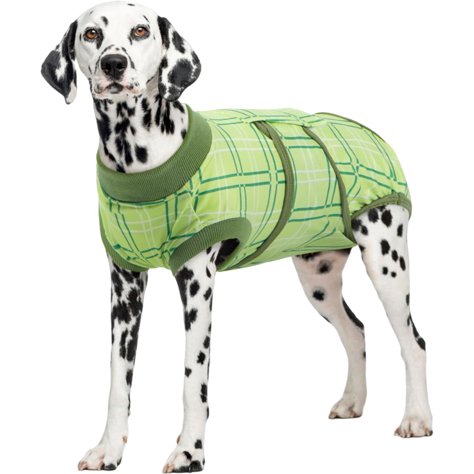 Photo 1 of Kuoser Dog Recovery Suit for Female Male Dogs, Post-Surgery Bodysuit for Spay Neuter, Dog Onesie After Surgery, Anti-Licking Pet Surgical Recovery Suit, Green XXL