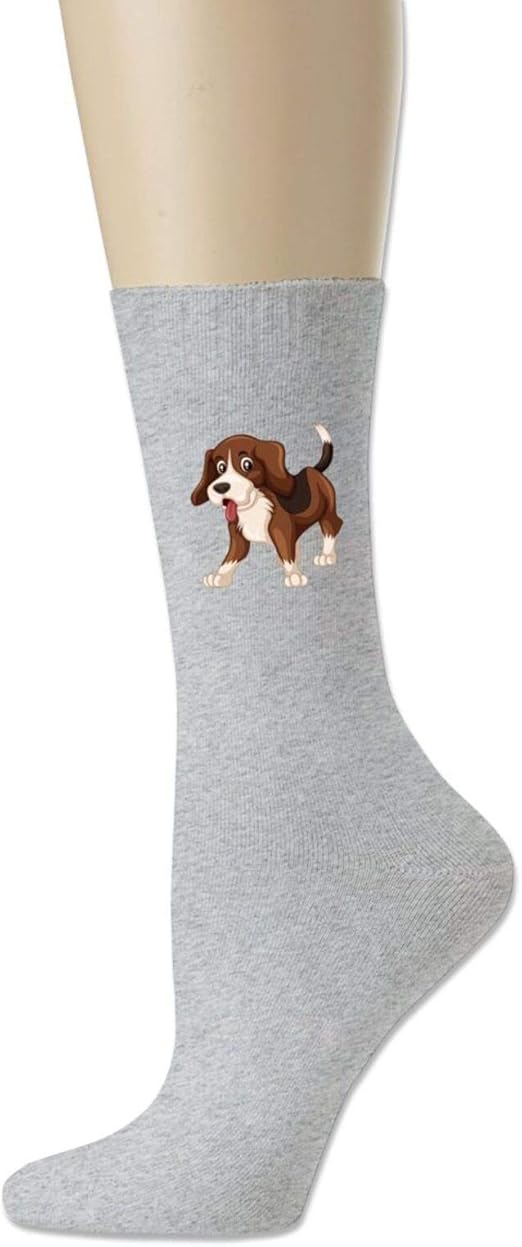 beagle socks h&m