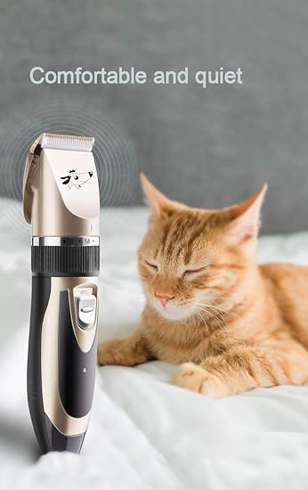 Hiistandd - Máquina de cortar pelo para perros y gatos: Amazon.es ...