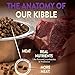 Wellness CORE Grain-Free Kitten Formula Dry Cat Food, 2 Pound Bag