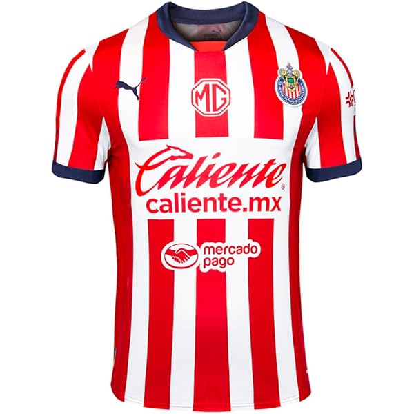 Amazon.com: Castore Rangers Mens 23/24 Third Shirt, Large