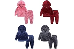 Kids Boys Girls 2PCS Velvet Hooded Tracksuit Toddler Baby Fleece Hoody Top & Sweatpants Warm Fall Outfits Set Cute