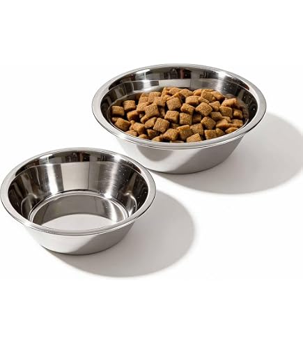 best wet cat food weruva Weruva BFF OMG Best Day Eva! Beef & Salmon Dinner in Gravy Grain-Free   Animal Connection LLC
