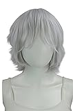 Epic Cosplay Apollo Silvery Grey Short Wig 13
