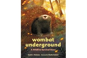 Wombat Underground: A Wildfire Survival Story