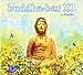 Buddha Bar XI