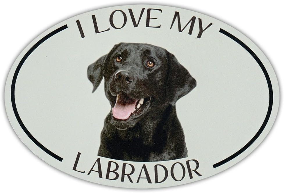 i love my black lab