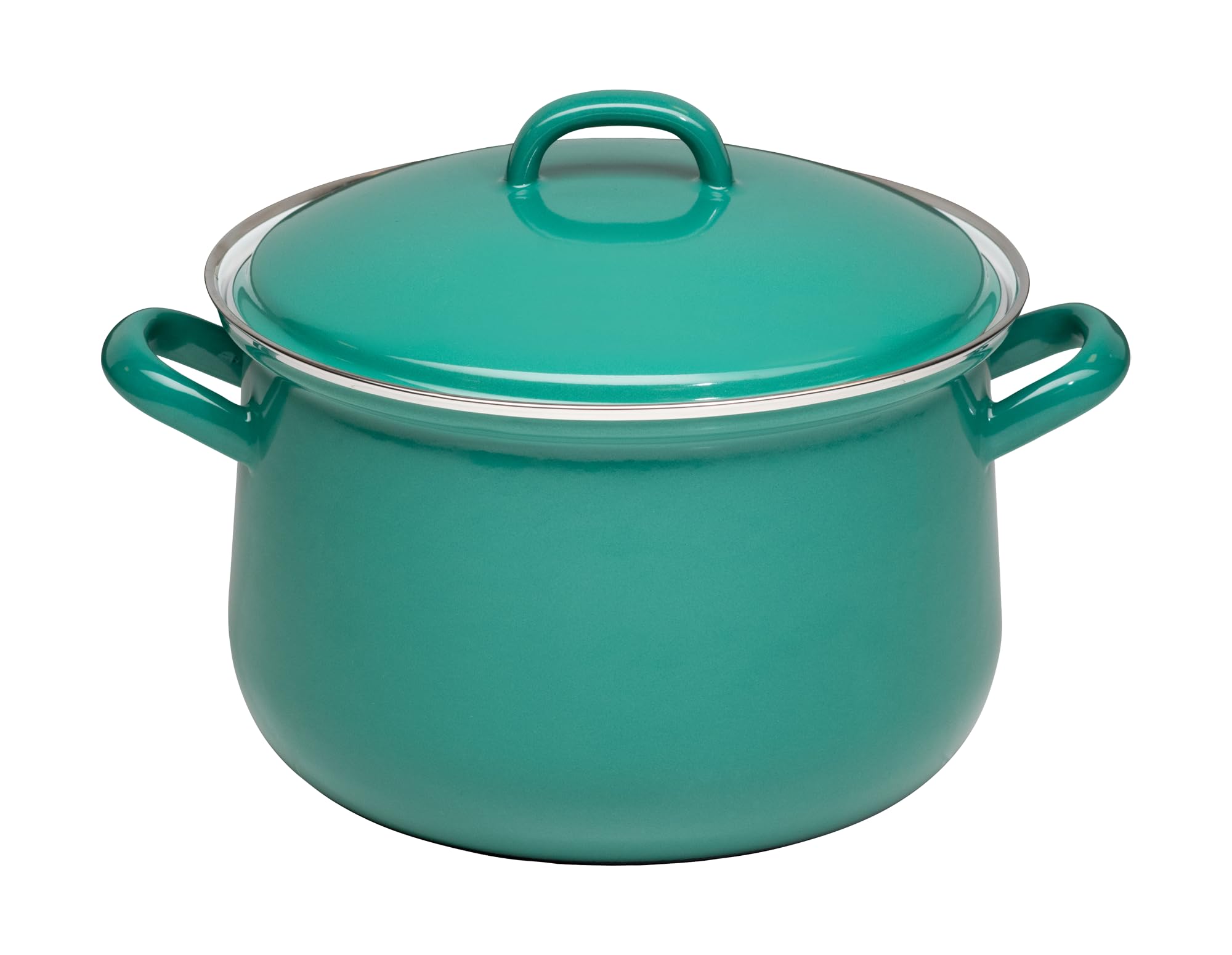 Riess, 0608-111, Meat Pot with lid, Diameter 20 cm, Capacity 3.5 litres, Classic SONDEREDITION Nature Green Dark, Enamel, Green, Induction