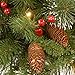 National Tree Company Pre-Lit Artificial Christmas Hanging Basket, Crestwood Spruce, Decorated With Frosted Pine Cones, Berry Clusters, White Lights, Christmas Collection, 16 Inches