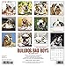 Bulldog Bad Boys 2018 Calendar
