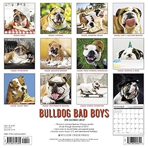 Bulldog Bad Boys 2018 Calendar
