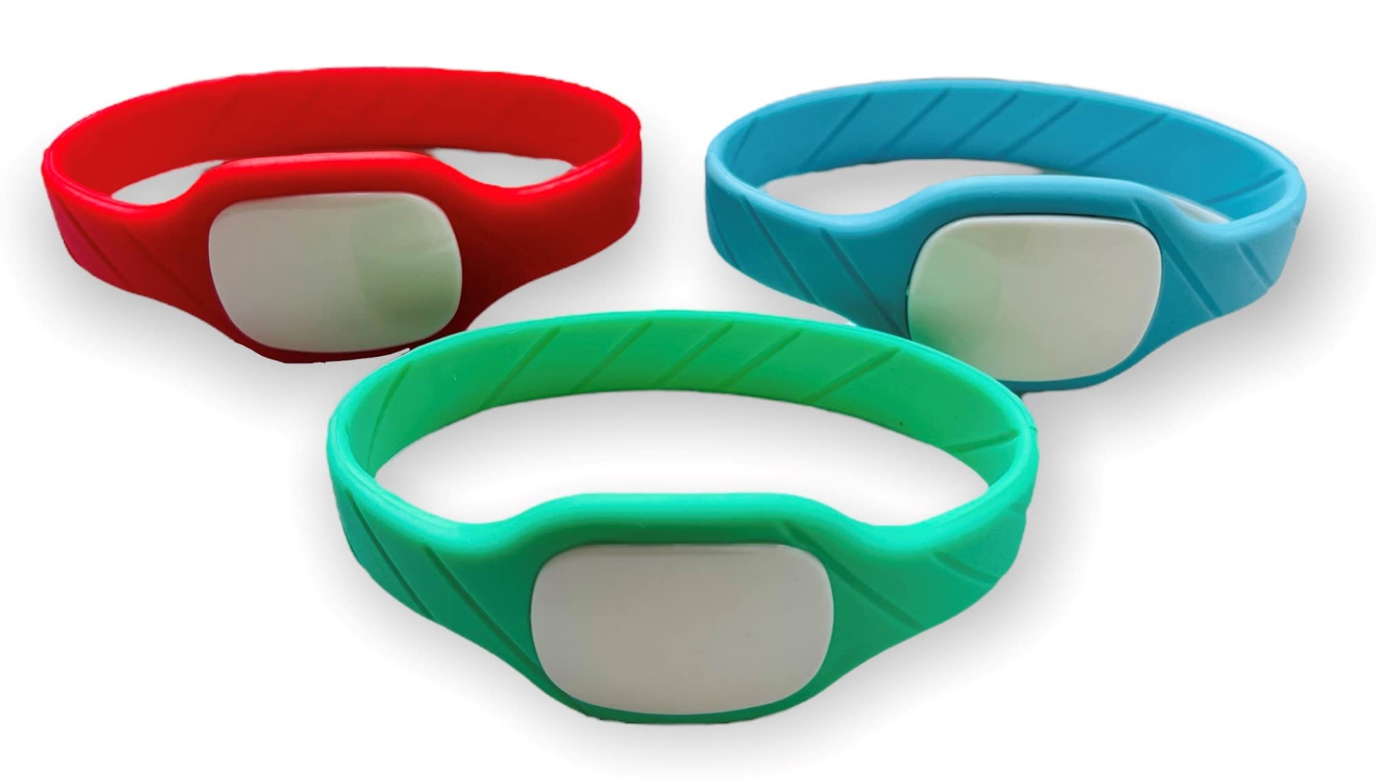 Paxton Access Net 2 Wristband Watch (Green)