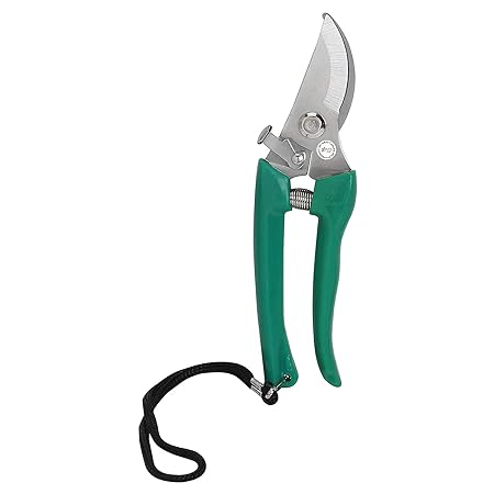 best garden hedge shears