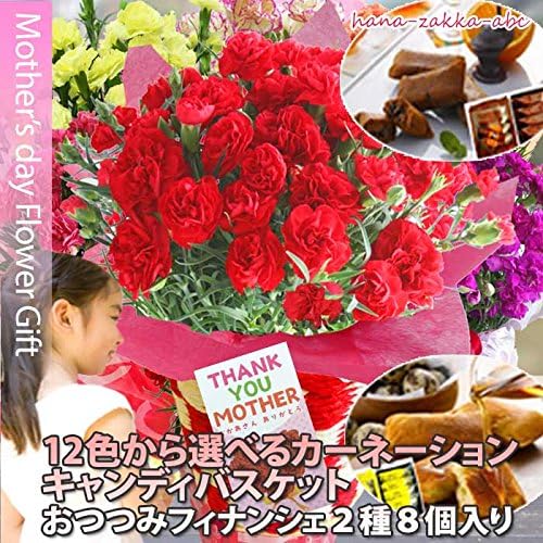 Amazon 母の日 12色から選べる カーネーション 5号鉢植え キャンディバスケットフィナンシェ２種８個セット エクレア 観葉植物 オンライン通販