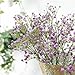 Crt Gucy Artificial Flowers 9Pcs 21