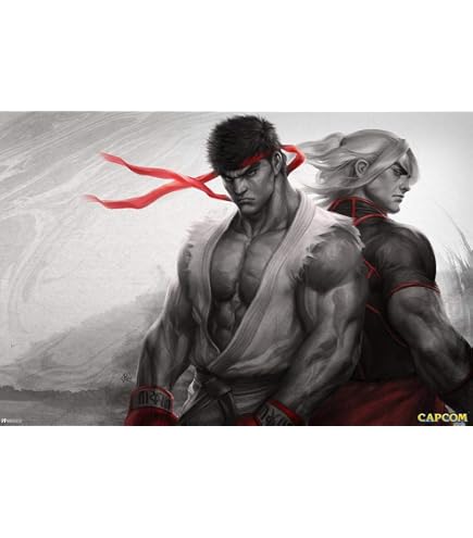 Amazon.com: Street Fighter Ryu Art CAPCOM Video Game Merchandise