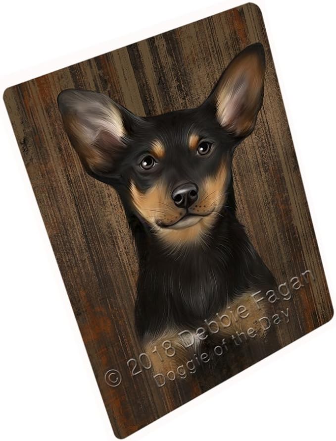 small kelpie dog