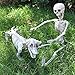 Halloween Decoration 23” Pose-N-Stay Wiener Dog Skeleton Plastic Puppy Bones with Posable Joints for Pose Skeleton Prop Indoor/Outdoor Spooky Scene Party Favors Décor.