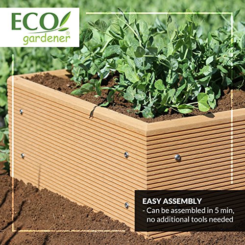 ECOgardener Premium Raised Bed Garden Planter Box 2' x 4' – The Most Beautiful Elevated Planter That Will not Crack, Split, warp or Break. Easy Setup and Maintenance Free Design.